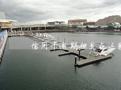 信用卡逾期但是在还款怎么办 信用卡逾期但是在还款怎么办
