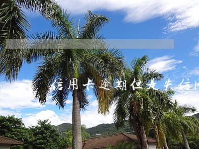 信用卡逾期但是失信网查不到 信用卡逾期但是失信网查不到