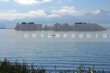 信用卡逾期但是征信上没有 信用卡逾期但是征信上没有