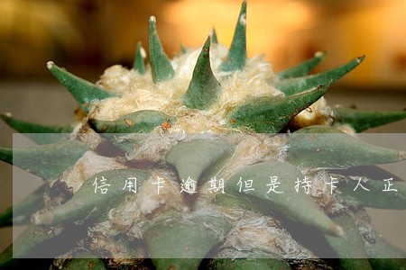 信用卡逾期但是持卡人正在羁押 信用卡逾期但是持卡人正在羁押