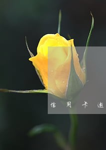 信用卡逾期但是没上征信 信用卡逾期但是没上征信