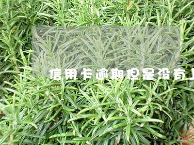 信用卡逾期但是没有上黑名单 信用卡逾期但是没有上黑名单