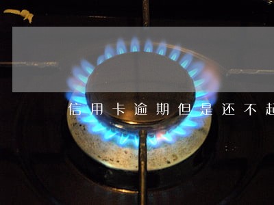 信用卡逾期但是还不起 信用卡逾期但是还不起