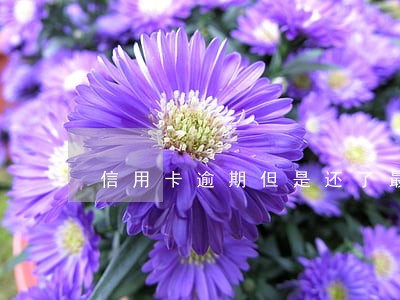 信用卡逾期但是还了最低征信 信用卡逾期但是还了最低征信