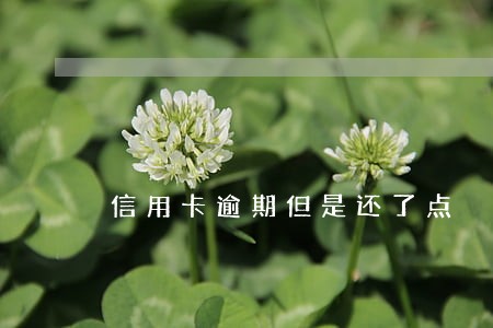 信用卡逾期但是还了点 信用卡逾期但是还了点
