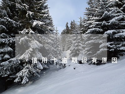 信用卡逾期但有原因 信用卡逾期但有原因
