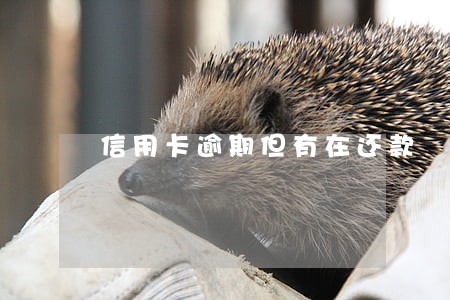 信用卡逾期但有在还款