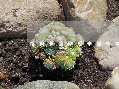 信用卡逾期但未超90天 信用卡逾期但未超90天