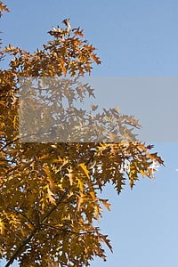信用卡逾期但未超过90天 信用卡逾期但未超过90天