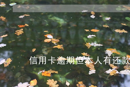 信用卡逾期但本人有还款意愿