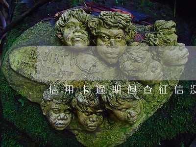 信用卡逾期但查征信没查到 信用卡逾期但查征信没查到