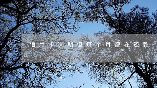 信用卡逾期但每个月都在还款 信用卡逾期但每个月都在还款