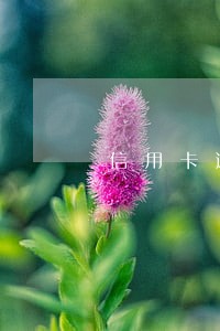 信用卡逾期但每天都在还钱