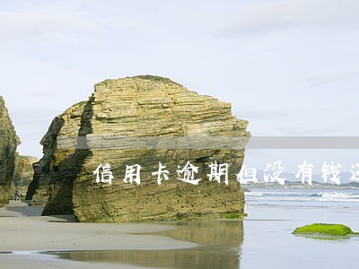 信用卡逾期但没有钱还怎么办
