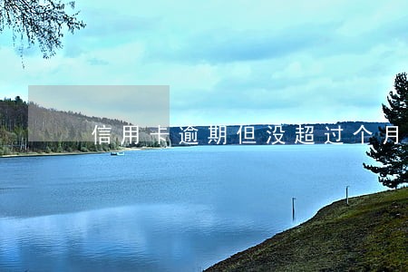 信用卡逾期但没超过个月 信用卡逾期但没超过个月
