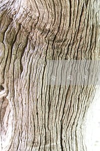 信用卡逾期但花呗还能用吗