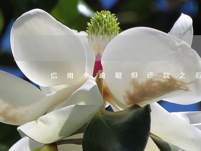 信用卡逾期但还款之后被注销了