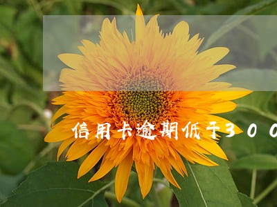 信用卡逾期低于3000块 信用卡逾期低于3000块