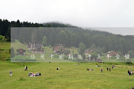 信用卡逾期低于五千会被起诉吗 信用卡逾期低于五千会被起诉吗
