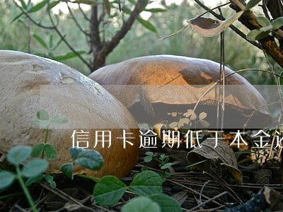 信用卡逾期低于本金还款 信用卡逾期低于本金还款