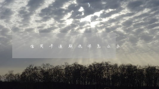 信用卡逾期低保怎么办 信用卡逾期低保怎么办