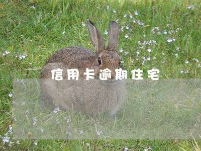 信用卡逾期住宅 信用卡逾期住宅
