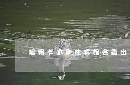 信用卡逾期住宾馆会查出来嘛