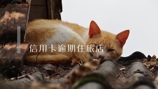 信用卡逾期住旅店