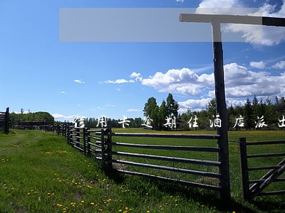 信用卡逾期住酒店派出所会不会抓 信用卡逾期住酒店派出所会不会抓
