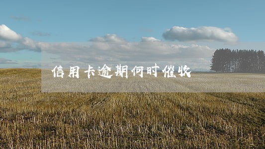 信用卡逾期何时催收 信用卡逾期何时催收