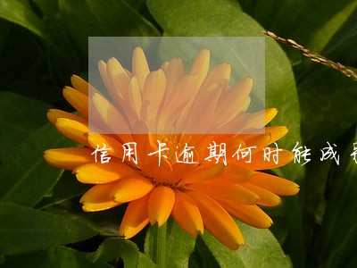 信用卡逾期何时能成呆账 信用卡逾期何时能成呆账