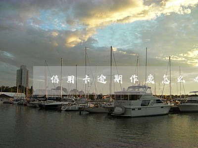 信用卡逾期作废怎么办呢