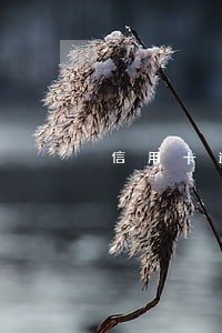 信用卡逾期作废柜台