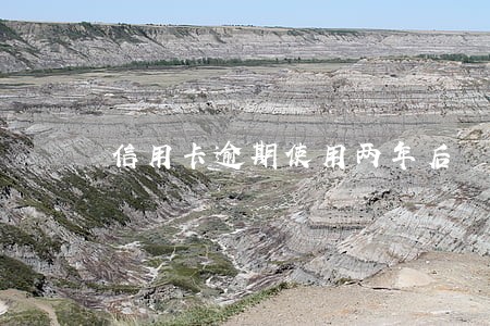 信用卡逾期使用两年后 信用卡逾期使用两年后