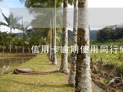 信用卡逾期使用同行储蓄卡