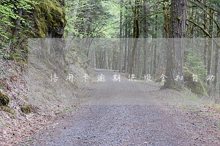 信用卡逾期供级金扣自动扣吗 信用卡逾期供级金扣自动扣吗
