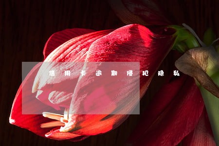 信用卡逾期侵犯隐私