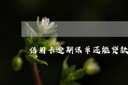 信用卡逾期保单还能贷款吗 信用卡逾期保单还能贷款吗
