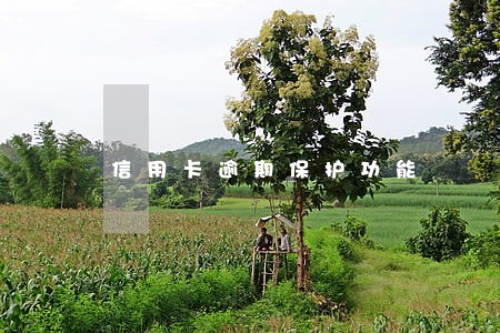 信用卡逾期保护功能 信用卡逾期保护功能