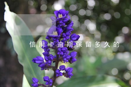 信用卡逾期保留多久的 信用卡逾期保留多久的