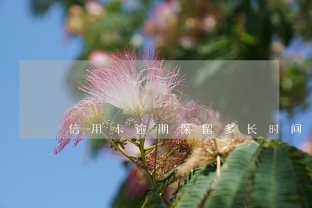 信用卡逾期保留多长时间 信用卡逾期保留多长时间