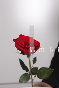 信用卡逾期保留时间