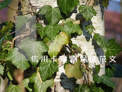 信用卡逾期保证范文 信用卡逾期保证范文