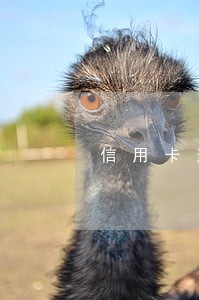 信用卡逾期保险 信用卡逾期保险