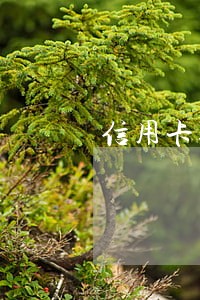 信用卡逾期信和逾期 信用卡逾期信和逾期