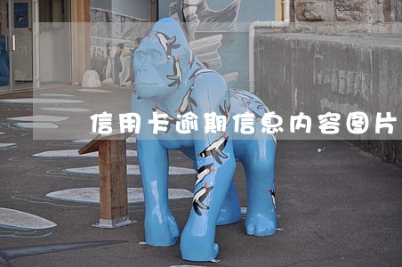 信用卡逾期信息内容图片 信用卡逾期信息内容图片