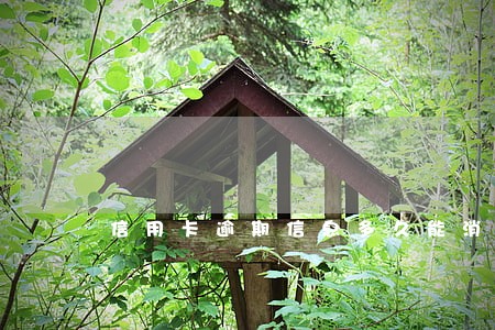 信用卡逾期信息多久能消