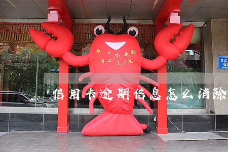 信用卡逾期信息怎么消除 信用卡逾期信息怎么消除