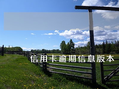 信用卡逾期信息版本