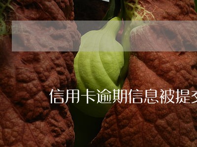 信用卡逾期信息被提交